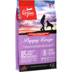 ORIJEN Puppy Large 11,4KG